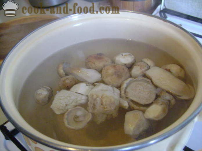 Delicious σούπα μανιταριών από τα παγωμένα λευκά μανιτάρια - πώς να μαγειρεύουν από κατεψυγμένα σούπα της CEPS με βήμα προς βήμα φωτογραφίες συνταγή