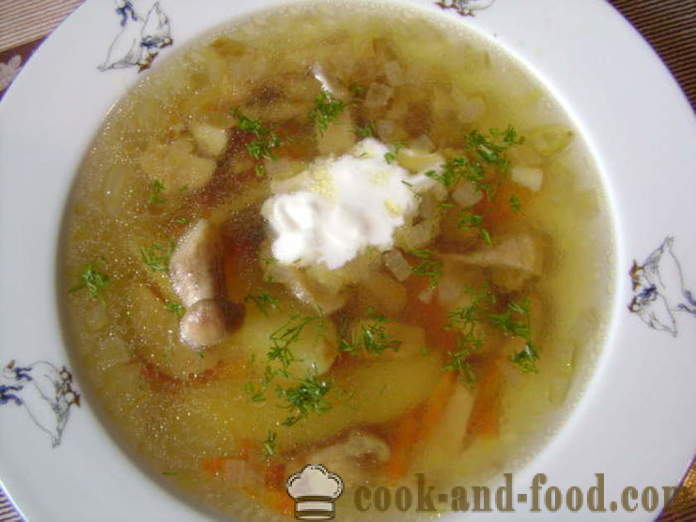 Delicious σούπα μανιταριών από τα παγωμένα λευκά μανιτάρια - πώς να μαγειρεύουν από κατεψυγμένα σούπα της CEPS με βήμα προς βήμα φωτογραφίες συνταγή