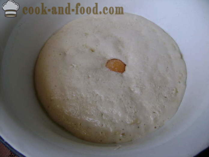 Ζύμη που περιέχει μαγιά για τηγανητές πίτες με γάλα - πώς να προετοιμάσει τη ζύμη ζύμη για πίτες, τηγανητές, με μια βήμα προς βήμα φωτογραφίες συνταγή
