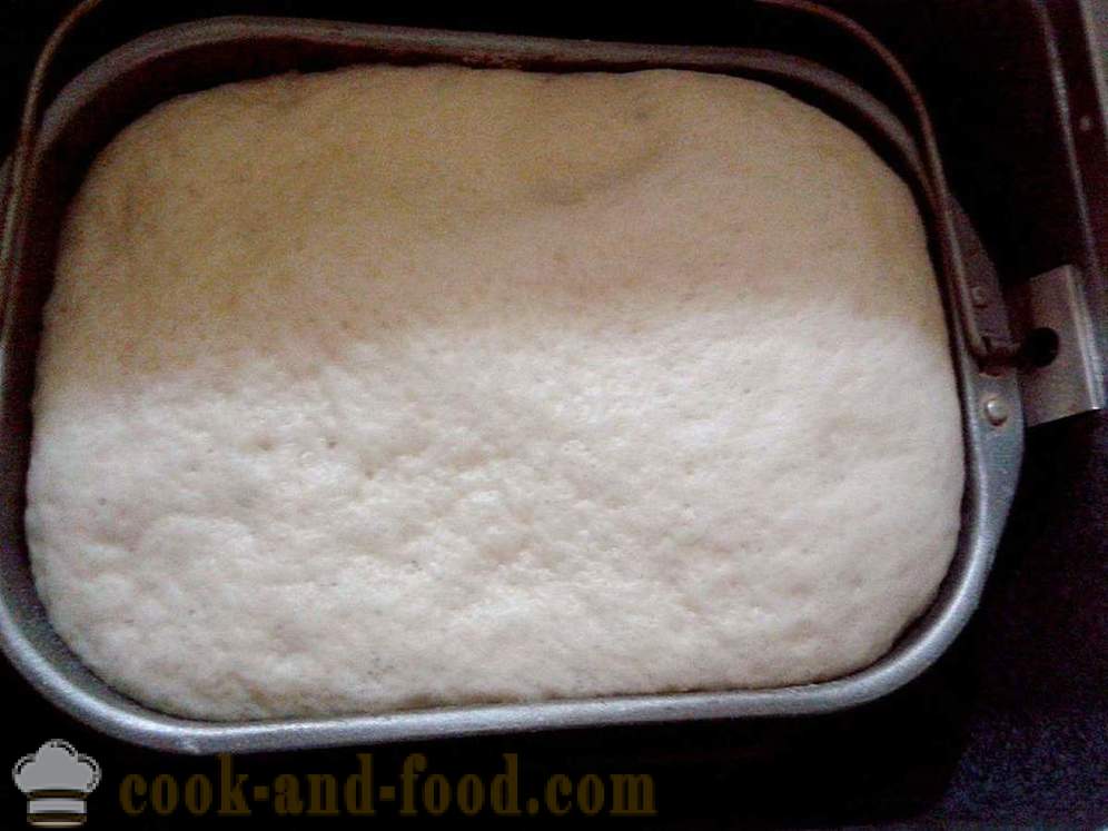 Ζύμης στη μηχανή ψωμιού - πώς να προετοιμάσει τη ζύμη μαγιάς στη μηχανή ψωμιού, συνταγή poshagovіy με μια φωτογραφία