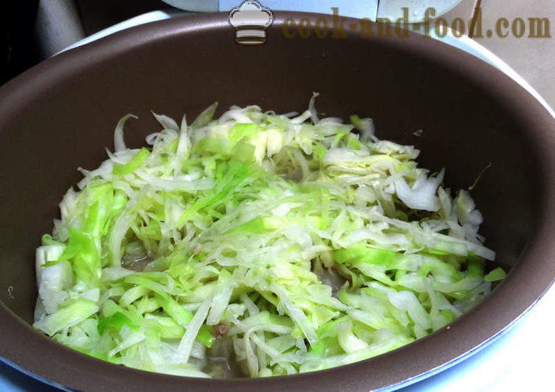 Lazy λαχανοντολμάδες με λάχανο, το ρύζι και το κρέας - πώς να κάνει τεμπέληδες λαχανοντολμάδες σε multivarka, βήμα προς βήμα φωτογραφίες συνταγή