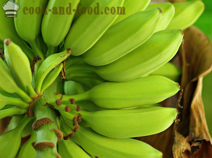 Μπανάνα: της Αφρικής και της Ασίας σούπα επιδόρπιο - βίντεο συνταγές στο σπίτι