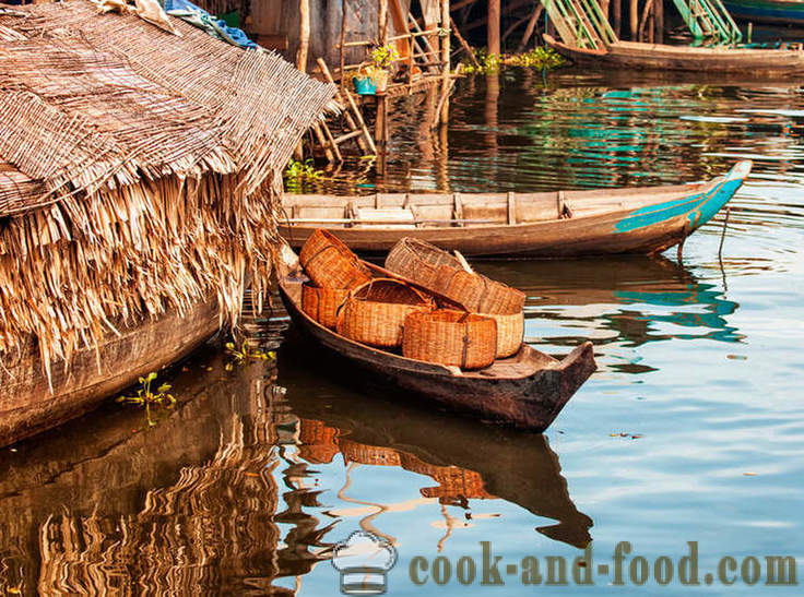 Καμπότζη: εδώ τρώνε τα πάντα - βίντεο συνταγές στο σπίτι